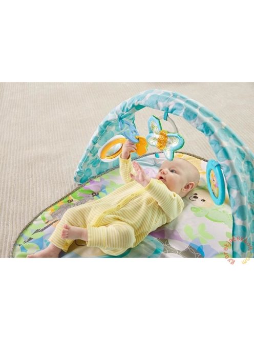 Fisher Price Pillangómacis játszószőnyeg