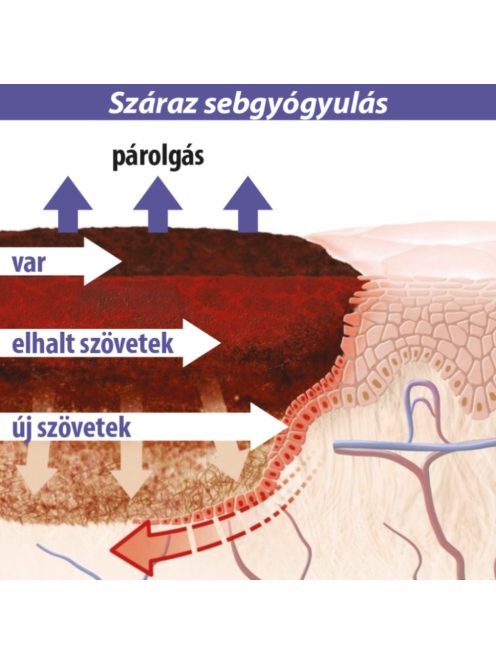 Lansinoh Organikus bimbóvédő balzsam 60ml