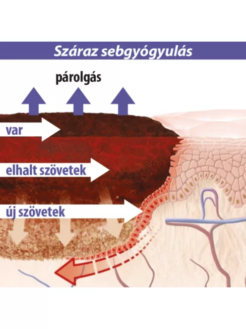 Lansinoh bimbóvédő balzsam 60ml