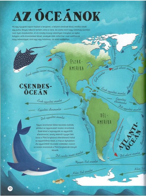Napraforgó Kalandozás a világ tengerein és óceánjain