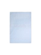 Lorelli Paplan huzat 140x95cm - Train Blue