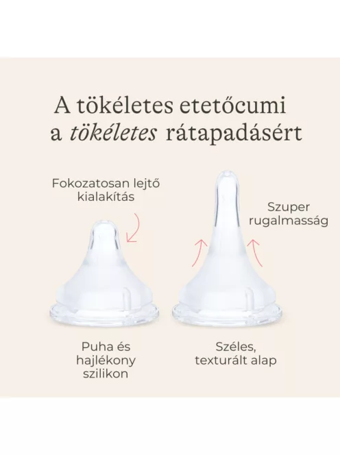 Lansinoh 2 db cumisüveg lassú folyású etetőcumival + 2 db fedéllel, 160 ml