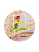 Chipolino Fa mászóka és hinta táblával - színes