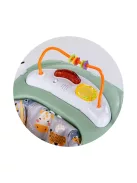 Chipolino Jumpy Car rugós hinta - Mint