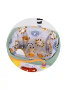 Chipolino Jumpy Car rugós hinta - Mint