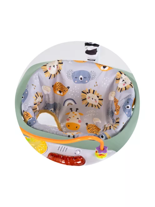 Chipolino Jumpy Car rugós hinta - Mint