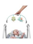 Bright Starts INGENUITY hinta dallamokkal, Hoot&Hugs, 0 hó+, 9 kg-ig