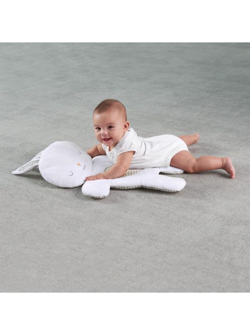 INGENUITY Rezgő pihenőszék dallamokkal és fénnyel, Twinkle Tails™, 0 hó+, 9 kg -ig