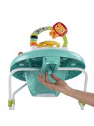 Bright Starts Bébikomp, Zig Zag Zebra, 6 hó+, 11 kg-ig