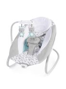 INGENUITY Nagy hinta rezgő hintaszékkel és dallamokkal, USB, 2in1 Raylan, 0 hó+, 9 kg-ig