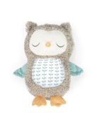 INGENUITY Altató játék, plüss zenélő bagoly, Nally™, 0 hó+