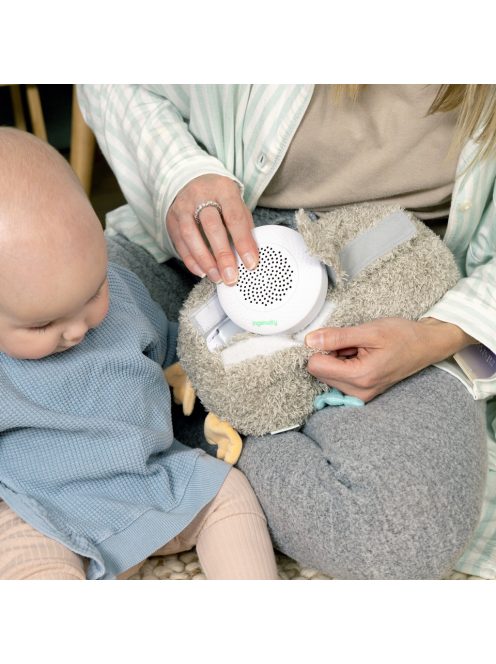INGENUITY Altató játék, plüss zenélő bagoly, Nally™, 0 hó+