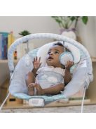 INGENUITY Rezgő pihenőszék, Ity Goji, 0 hó+, 9 kg-ig