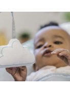 INGENUITY Rezgő pihenőszék, Ity Goji, 0 hó+, 9 kg-ig