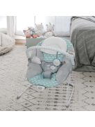 INGENUITY Rezgő pihenőszék, Ity Goji, 0 hó+, 9 kg-ig