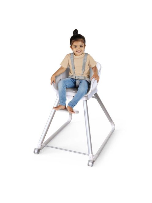 INGENUITY Etetőszék, 6in1 Beanstalk™, Ray™, 0 hó+, 23 kg-ig