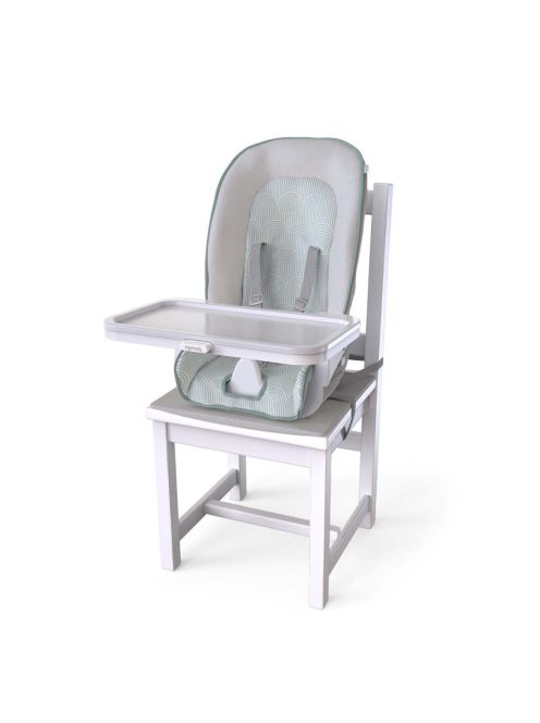 INGENUITY Etetőszék, 6in1 Beanstalk™, Ray™, 0 hó+, 23 kg-ig