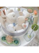 INGENUITY Aktív centrum, 2in1 Spring & Sprout™, 6 hó+ 11 kg-ig