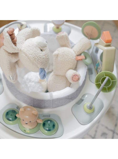 INGENUITY Aktív centrum, 2in1 Spring & Sprout™, 6 hó+ 11 kg-ig