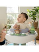 INGENUITY Aktív centrum, 2in1 Spring & Sprout™, 6 hó+ 11 kg-ig