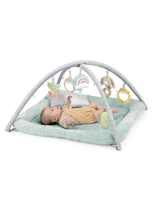 Ingenuity Játszószőnyeg párnával, Calm Springs™, 0 hó+