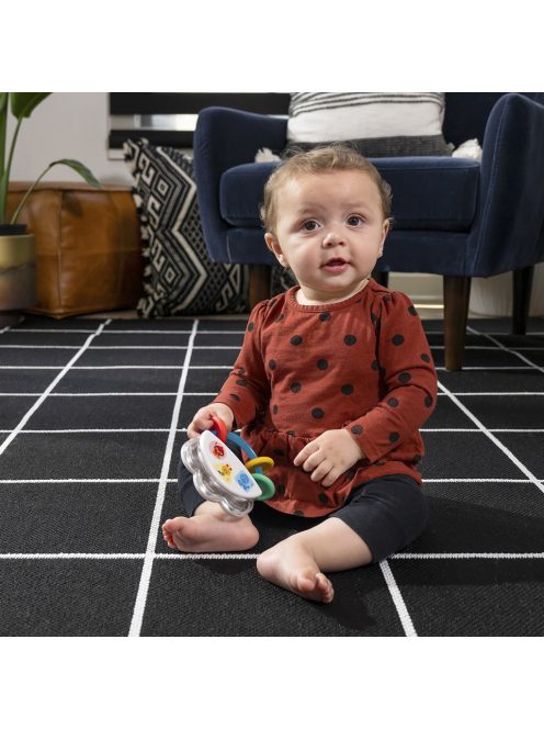 Baby Einstein Tamburin csörgővel, 3 hó+