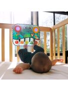 Baby Einstein Multifunkciós zongora, 2 in1 Neptune's Kick & Explore™, 0 hó+