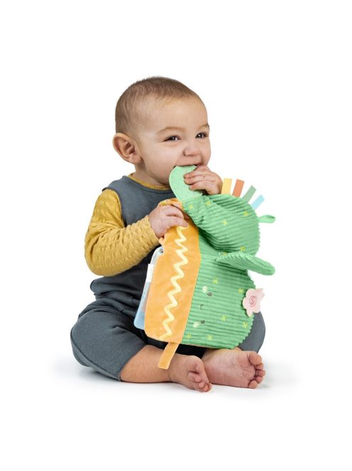 INGENUITY Plüss könyv rágókával, Calm Springs™, 0 hó+