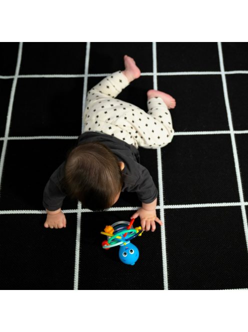 Baby Einstein Rágóka/csörgő Opus’s Shake & Soothe™, 0 hó+