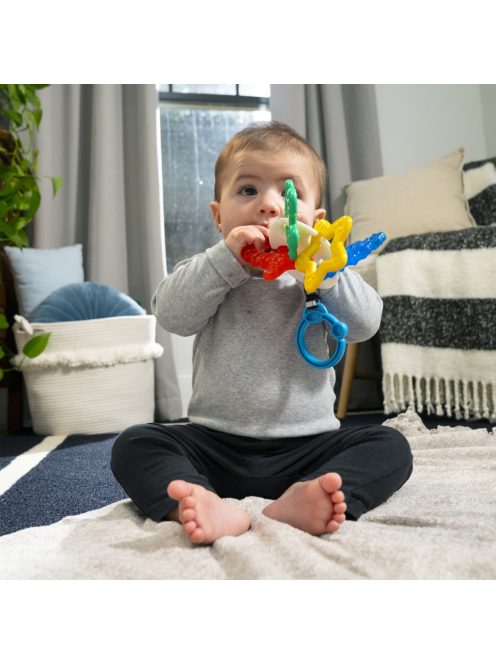 Baby Einstein Rágóka, Ocean Explorers Sea of Sensory™, 3 hó+