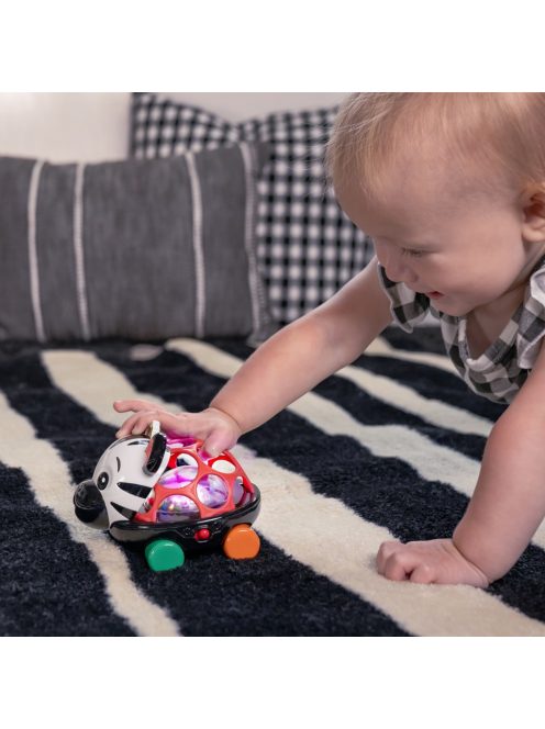 Oball Autó és csörgő, 2in1 Curious Car, zebra, Zen™, 3 hó+