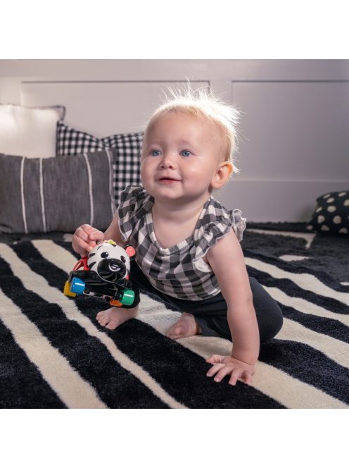 Oball Autó és csörgő, 2in1 Curious Car, zebra, Zen™, 3 hó+