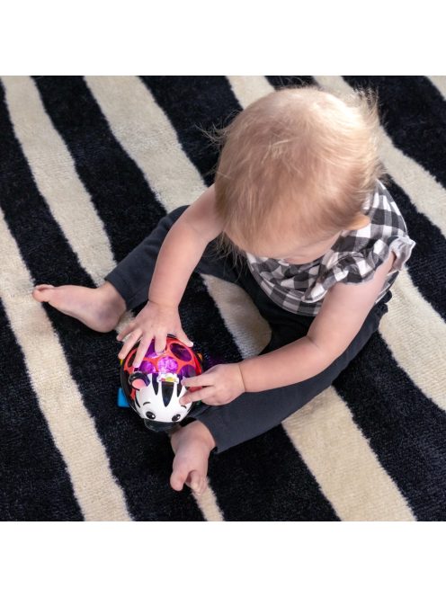 Oball Autó és csörgő, 2in1 Curious Car, zebra, Zen™, 3 hó+