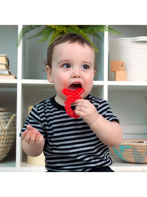 BABY EINSTEIN Rágóka 4db BPA mentes Cool Critters 3hó+