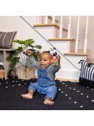 Baby Einstein Rágóka csörgővel zebra Zen™ Shake-a-Shape BPA mentes - 0hó+