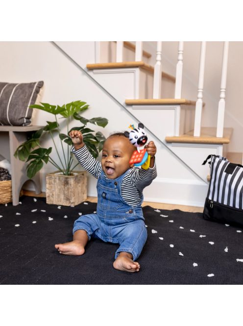 BABY EINSTEIN Rágóka csörgővel zebra Zen™ Shake-a-Shape BPA mentes 0hó+