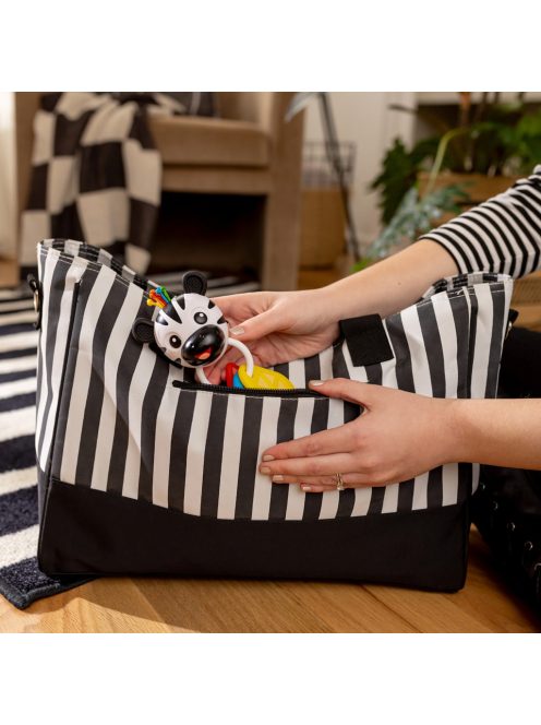 BABY EINSTEIN Rágóka csörgővel zebra Zen™ Shake-a-Shape BPA mentes 0hó+