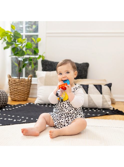 Baby Einstein Rágóka csörgővel zebra Zen™ Shake-a-Shape BPA mentes - 0hó+