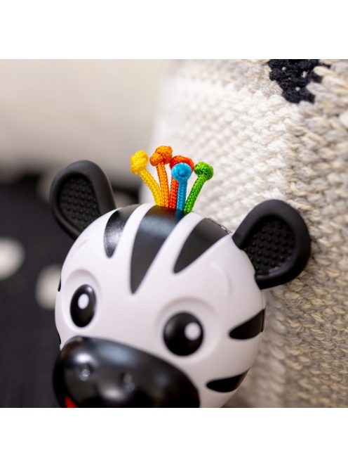 BABY EINSTEIN Rágóka csörgővel zebra Zen™ Shake-a-Shape BPA mentes 0hó+