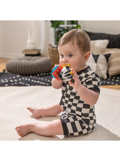 BABY EINSTEIN Rágóka csörgővel zebra Zen™ Shake-a-Shape BPA mentes 0hó+