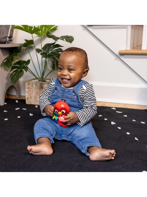 BABY EINSTEIN Zenélő érzékszervi játék Roxy's Bright Flight™ 3hó+