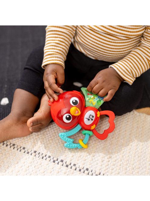BABY EINSTEIN Zenélő érzékszervi játék Roxy's Bright Flight™ 3hó+