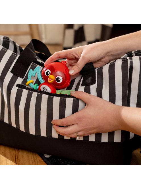 BABY EINSTEIN Zenélő érzékszervi játék Roxy's Bright Flight™ 3hó+
