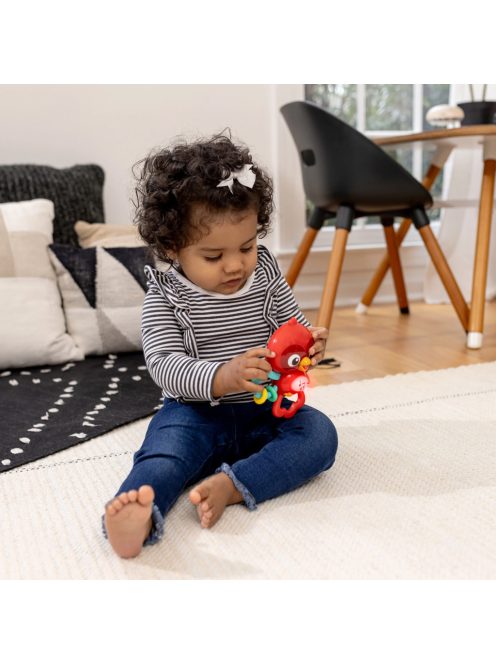BABY EINSTEIN Zenélő érzékszervi játék Roxy's Bright Flight™ 3hó+
