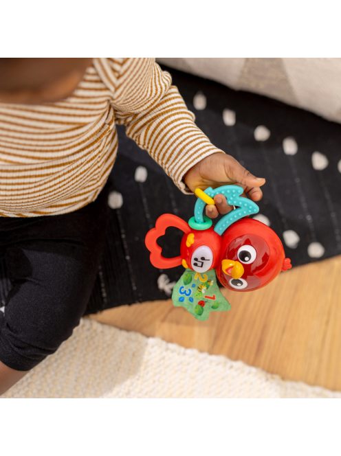 BABY EINSTEIN Zenélő érzékszervi játék Roxy's Bright Flight™ 3hó+