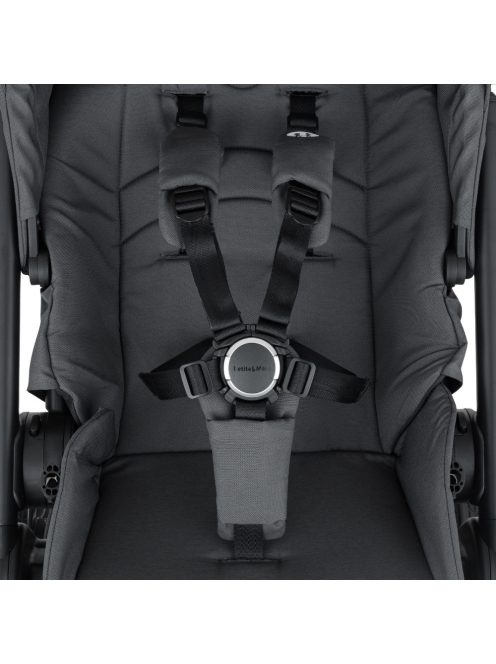Petite&Mars Kombinált babakocsi SCOUT 2in1 Anthracite Moon