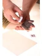 Baby Dab Lenyomatkészítő, lila