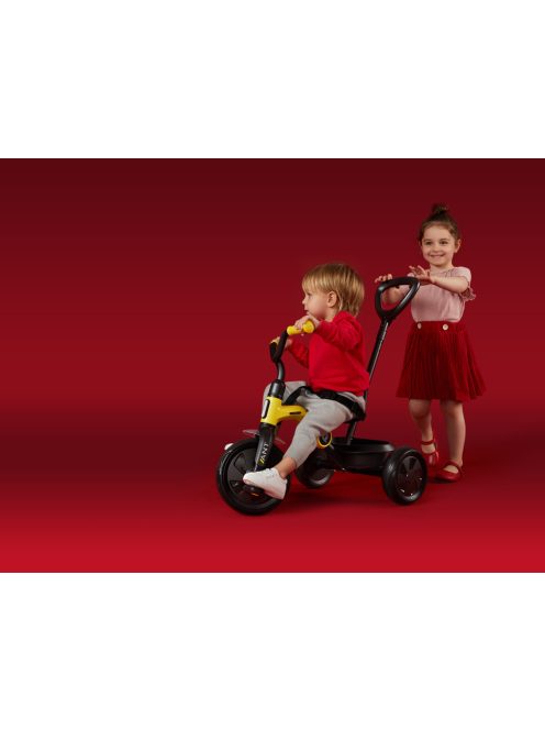 QPLAY Tricikli Ant plus Rose, 2-6 éves korig