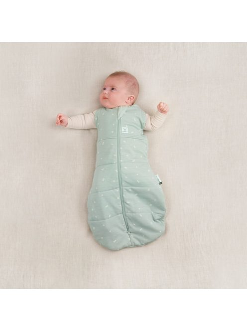 ERGOPOUCH Pólya és hálózsák 2 az 1-ben 0-3 hónap 3-6 kg 2,5 tog - Cocoon Sage