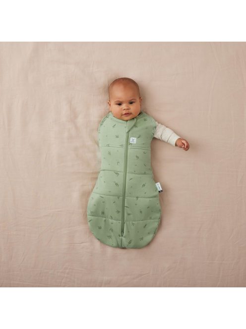 ERGOPOUCH Hálózsák és pólya 2 az 1-ben 0-3 hó 3-6 kg 2,5 tog - Cocoon Willow